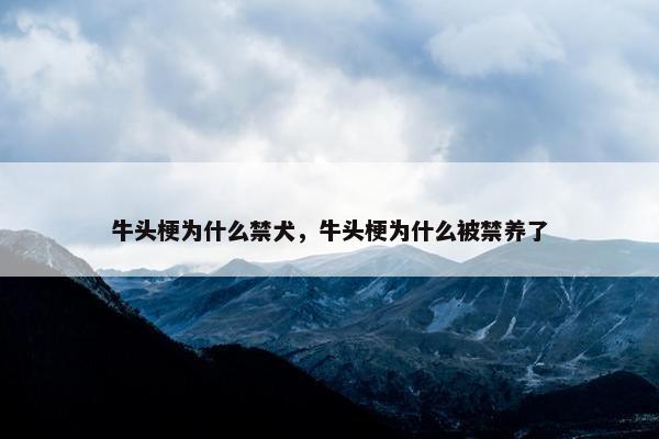 牛头梗为什么禁犬，牛头梗为什么被禁养了