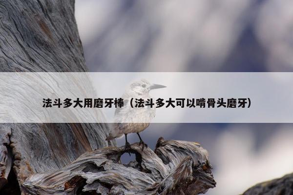 法斗多大用磨牙棒（法斗多大可以啃骨头磨牙）