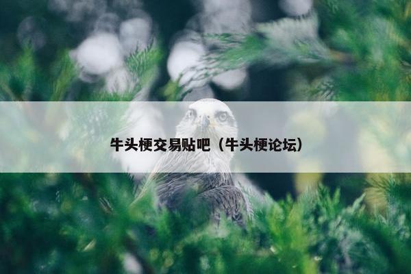 牛头梗交易贴吧（牛头梗论坛）