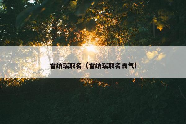 雪纳瑞取名（雪纳瑞取名霸气）