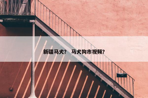 新疆马犬？ 马犬狗市视频？