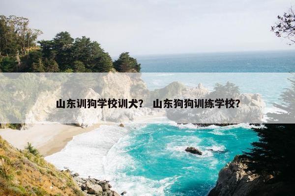 山东训狗学校训犬？ 山东狗狗训练学校？