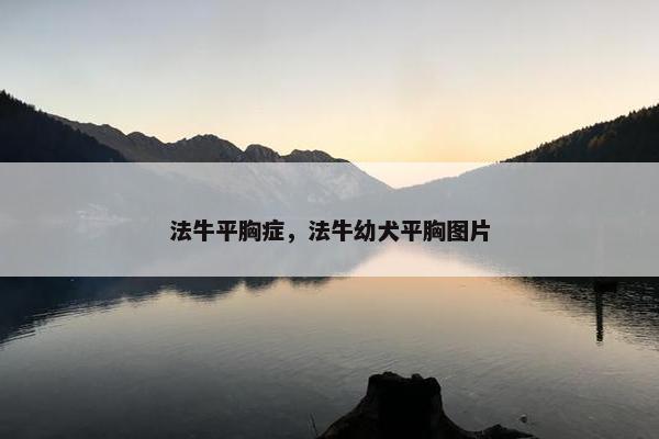 法牛平胸症，法牛幼犬平胸图片