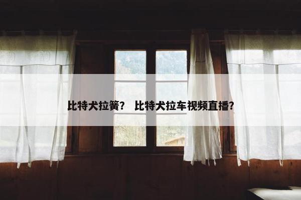 比特犬拉簧？ 比特犬拉车视频直播？