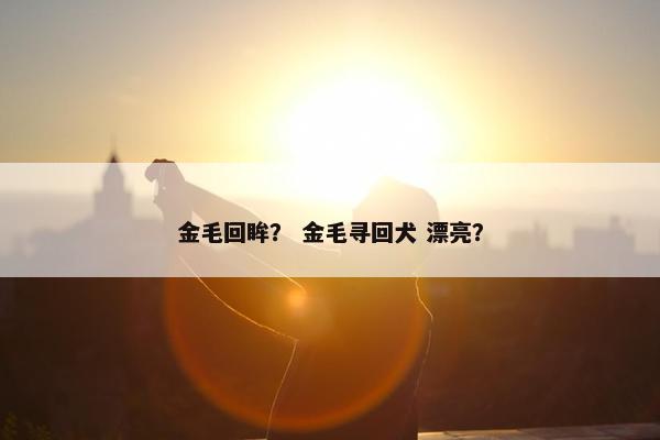 金毛回眸？ 金毛寻回犬 漂亮？