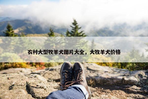 农村大型牧羊犬图片大全，大牧羊犬价格