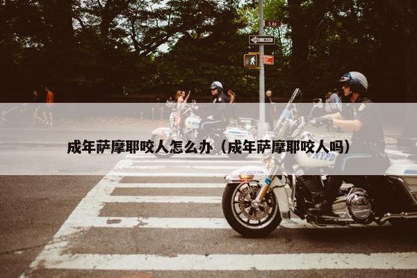 成年萨摩耶咬人怎么办（成年萨摩耶咬人吗）