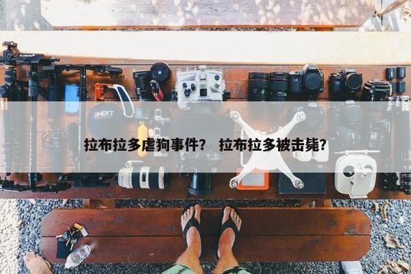 拉布拉多虐狗事件？ 拉布拉多被击毙？