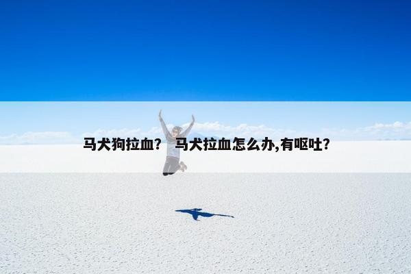 马犬狗拉血？ 马犬拉血怎么办,有呕吐？