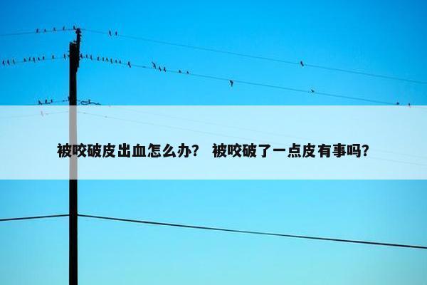 被咬破皮出血怎么办？ 被咬破了一点皮有事吗？