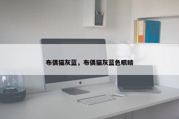 布偶猫灰蓝，布偶猫灰蓝色眼睛