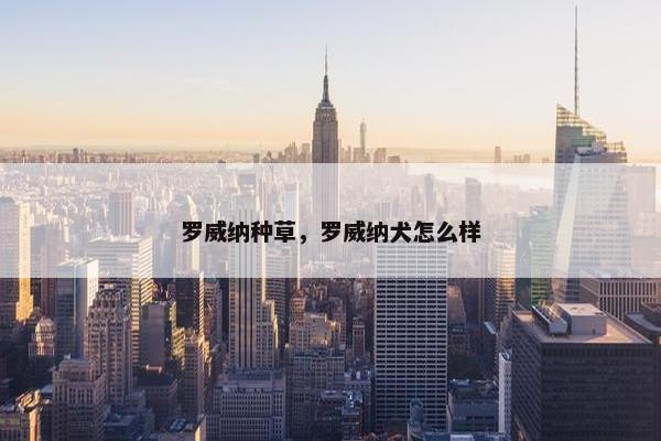罗威纳种草，罗威纳犬怎么样
