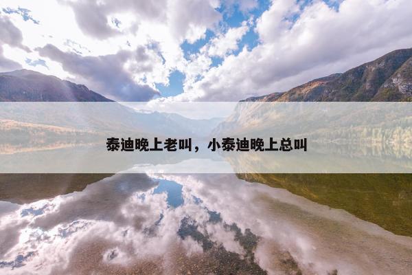 泰迪晚上老叫，小泰迪晚上总叫