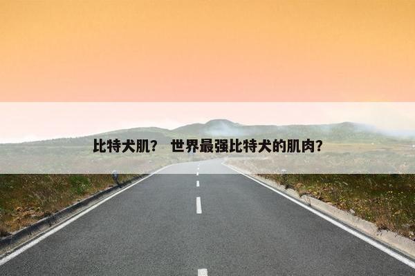 比特犬肌？ 世界最强比特犬的肌肉？