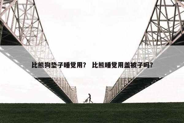 比熊狗垫子睡觉用？ 比熊睡觉用盖被子吗？