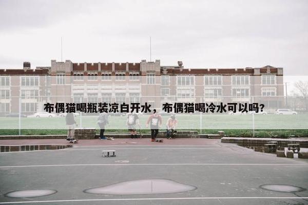 布偶猫喝瓶装凉白开水，布偶猫喝冷水可以吗?