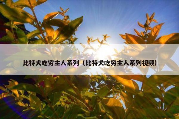 比特犬吃穷主人系列（比特犬吃穷主人系列视频）