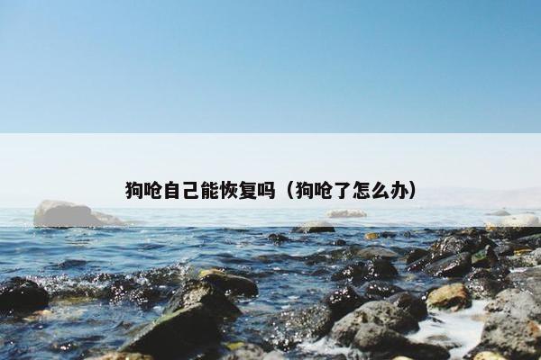 狗呛自己能恢复吗（狗呛了怎么办）