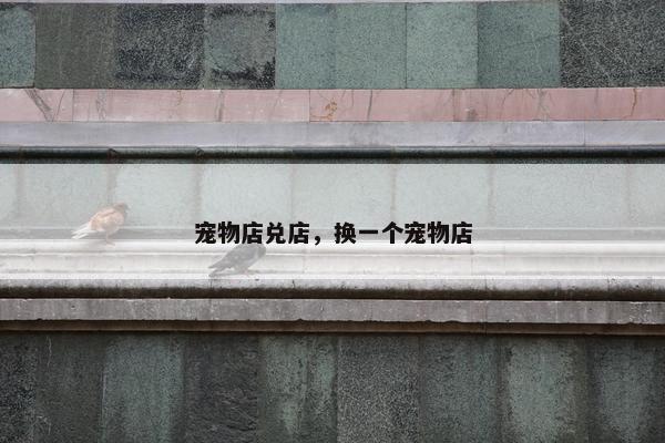 宠物店兑店，换一个宠物店