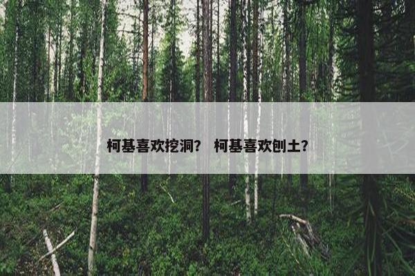 柯基喜欢挖洞？ 柯基喜欢刨土？