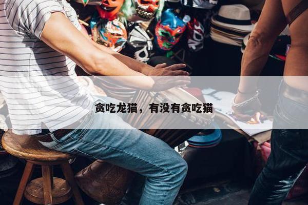 贪吃龙猫，有没有贪吃猫