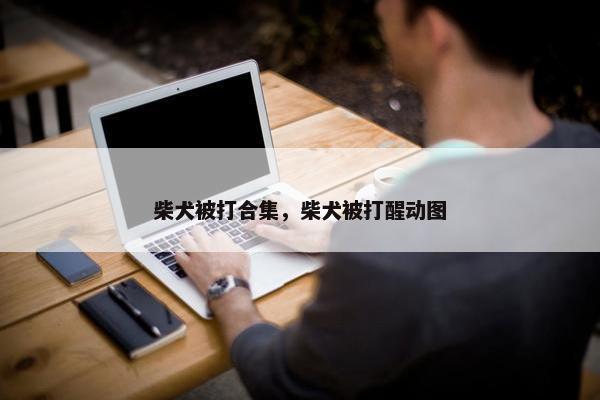 柴犬被打合集，柴犬被打醒动图