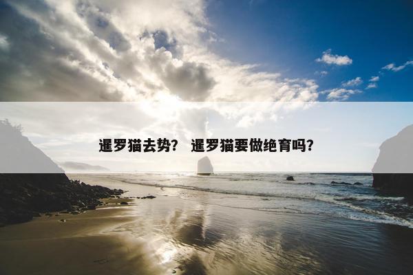 暹罗猫去势？ 暹罗猫要做绝育吗？
