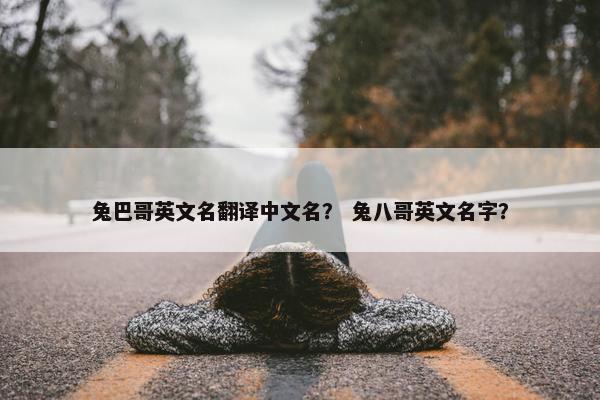 兔巴哥英文名翻译中文名？ 兔八哥英文名字？