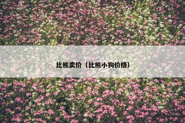 比熊卖价（比熊小狗价格）