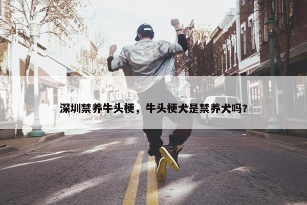 深圳禁养牛头梗，牛头梗犬是禁养犬吗?