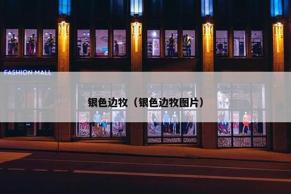银色边牧（银色边牧图片）