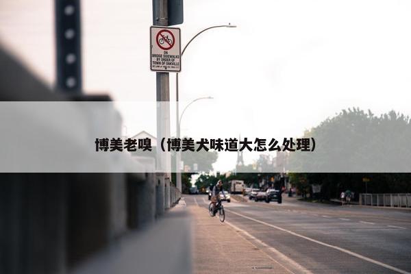 博美老嗅（博美犬味道大怎么处理）