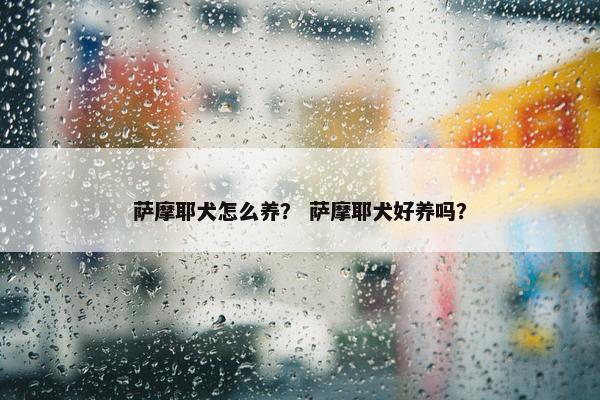 萨摩耶犬怎么养？ 萨摩耶犬好养吗？