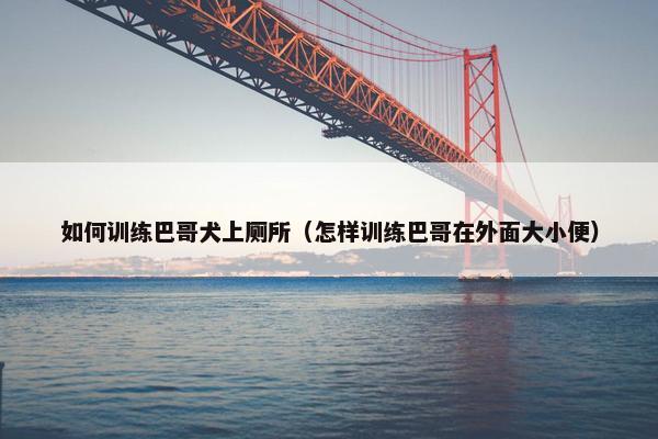 如何训练巴哥犬上厕所（怎样训练巴哥在外面大小便）