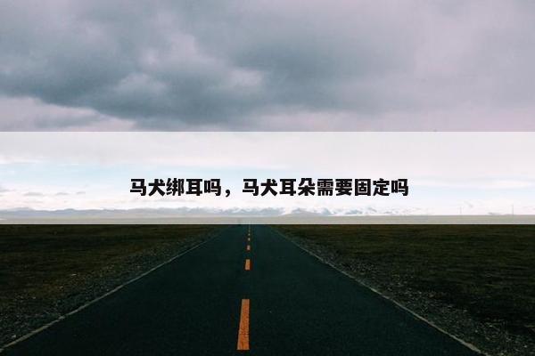 马犬绑耳吗，马犬耳朵需要固定吗