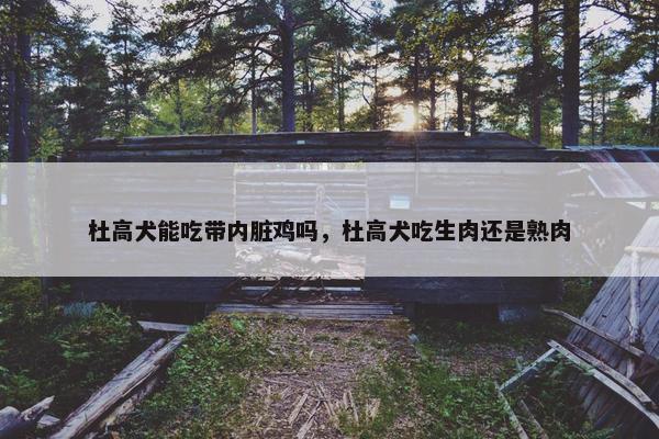 杜高犬能吃带内脏鸡吗，杜高犬吃生肉还是熟肉