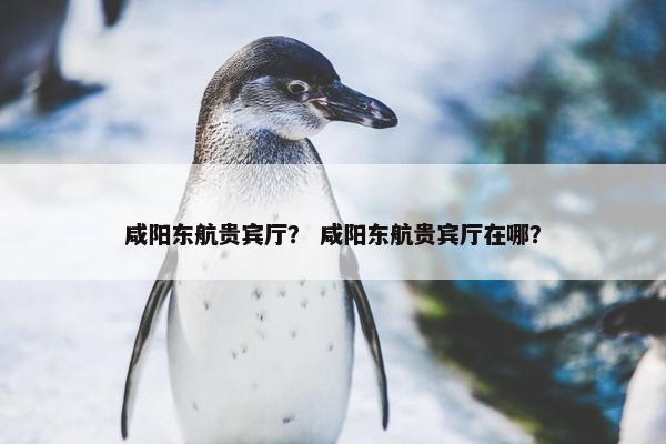咸阳东航贵宾厅？ 咸阳东航贵宾厅在哪？