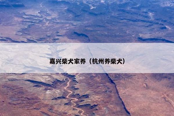 嘉兴柴犬家养（杭州养柴犬）