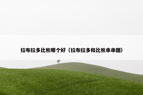 拉布拉多比熊哪个好（拉布拉多和比熊串串图）