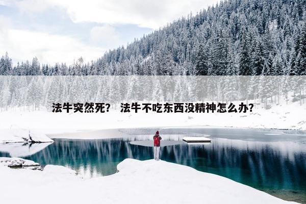 法牛突然死？ 法牛不吃东西没精神怎么办？