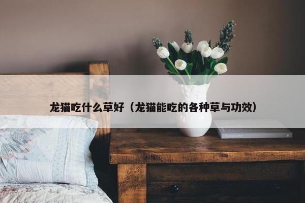 龙猫吃什么草好（龙猫能吃的各种草与功效）