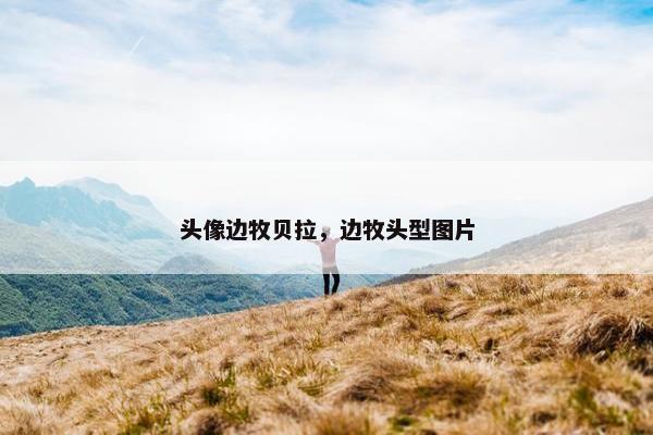 头像边牧贝拉，边牧头型图片