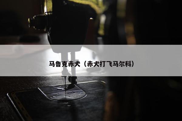 马鲁克赤犬（赤犬打飞马尔科）