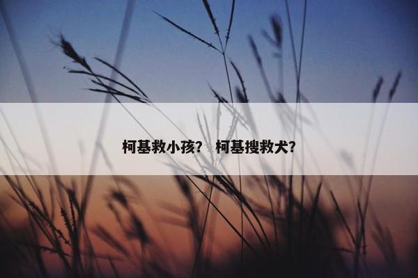 柯基救小孩？ 柯基搜救犬？