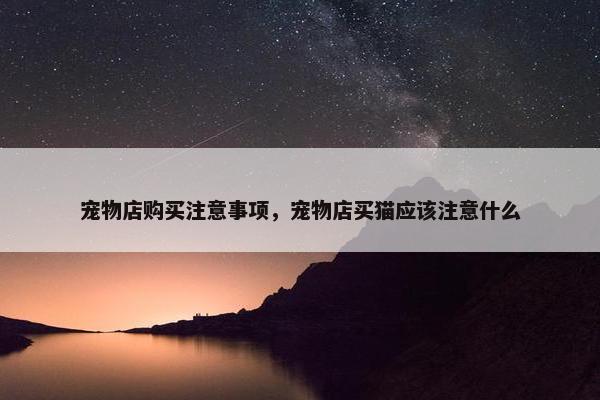 宠物店购买注意事项，宠物店买猫应该注意什么