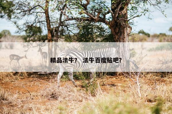 精品法牛？ 法牛百度贴吧？