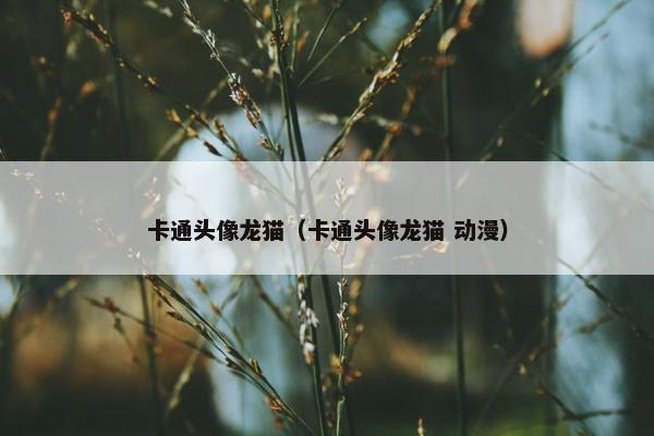 卡通头像龙猫（卡通头像龙猫 动漫）