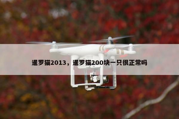 暹罗猫2013，暹罗猫200块一只很正常吗
