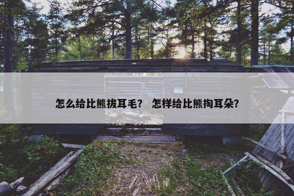 怎么给比熊拔耳毛？ 怎样给比熊掏耳朵？