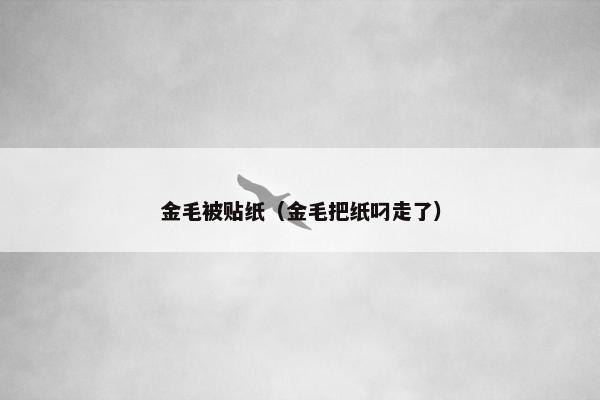 金毛被贴纸（金毛把纸叼走了）